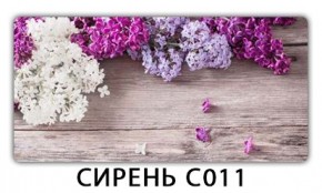 Стол раздвижной Трилогия с фотопечатью Орхидея C012 в Лесном - lesnoy.mebel24.online | фото 16