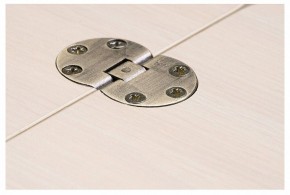Стол-трансформер Престиж в Лесном - lesnoy.mebel24.online | фото 10