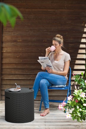 Столик-холодильник Кул-Стул (Cool stool) коричневый в Лесном - lesnoy.mebel24.online | фото 2
