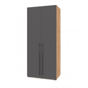 СТОУН С22 Шкаф 2-х створчатый (золотой дуб/графит) в Лесном - lesnoy.mebel24.online | фото 1
