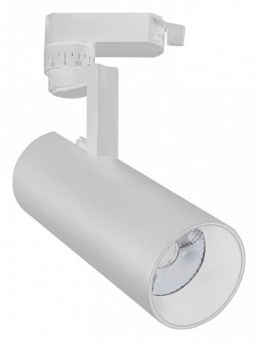 Светильник на штанге Escada 20029 20029TRA/02LED SWH в Лесном - lesnoy.mebel24.online | фото