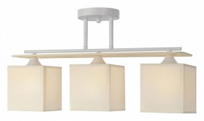 Светильник на штанге Escada Ares 1117/3PL в Лесном - lesnoy.mebel24.online | фото 2