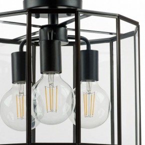 Светильник на штанге Lightstar Genni 798237 в Лесном - lesnoy.mebel24.online | фото 4