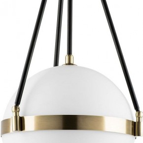 Светильник на штанге Lightstar Modena 816037 в Лесном - lesnoy.mebel24.online | фото 4