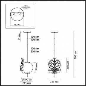 Светильник на штанге Odeon Light Jungle 4864/1 в Лесном - lesnoy.mebel24.online | фото 3