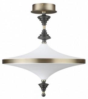 Светильник на штанге Odeon Light Ula 5404/43CL в Лесном - lesnoy.mebel24.online | фото