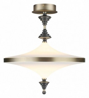 Светильник на штанге Odeon Light Ula 5404/43CL в Лесном - lesnoy.mebel24.online | фото 2