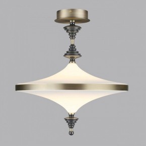 Светильник на штанге Odeon Light Ula 5404/43CL в Лесном - lesnoy.mebel24.online | фото 3