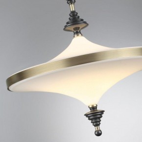 Светильник на штанге Odeon Light Ula 5404/43CL в Лесном - lesnoy.mebel24.online | фото 6