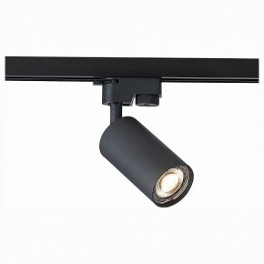 Светильник на штанге ST-Luce Solt ST300.406.01 в Лесном - lesnoy.mebel24.online | фото 1