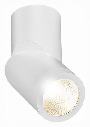 Светильник на штанге ST-Luce ST650 ST650.532.10 в Лесном - lesnoy.mebel24.online | фото 3