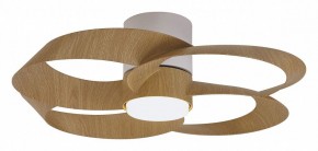 Светильник с вентилятором Mantra Rose 8707 в Лесном - lesnoy.mebel24.online | фото