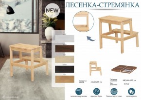 Табурет Стремянка в Лесном - lesnoy.mebel24.online | фото 6