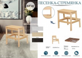 Табурет Стремянка в Лесном - lesnoy.mebel24.online | фото 4