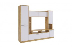 ТОКИО Мини-стенка (дуб крафт золотой/белое дерево) в Лесном - lesnoy.mebel24.online | фото