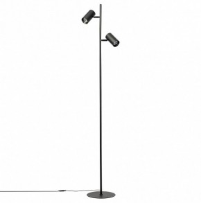 Торшер Citilux Twin CL809011N в Лесном - lesnoy.mebel24.online | фото