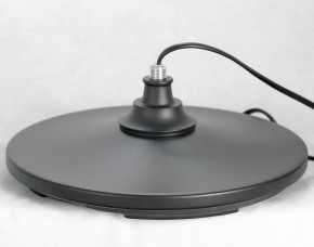 Торшер Lussole Greene LSP-0572 в Лесном - lesnoy.mebel24.online | фото 4