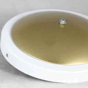 Торшер Lussole LSP-062 LSP-0625 в Лесном - lesnoy.mebel24.online | фото 2