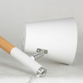 Торшер Lussole Buckeye LSP-0628 в Лесном - lesnoy.mebel24.online | фото 4