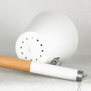 Торшер Lussole Buckeye LSP-0628 в Лесном - lesnoy.mebel24.online | фото 5