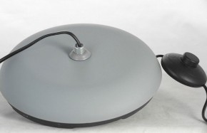 Торшер Lussole Flagstaff LSP-0630 в Лесном - lesnoy.mebel24.online | фото 6