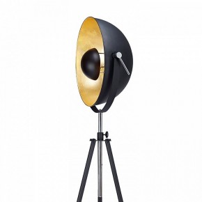 Торшер Lussole Sherrelwood LSP-9824 в Лесном - lesnoy.mebel24.online | фото 2