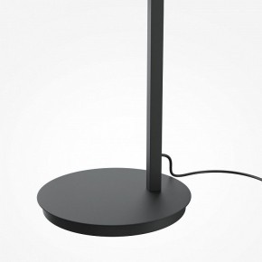 Торшер Maytoni Emphaty MOD363FL-L14B3K в Лесном - lesnoy.mebel24.online | фото 5
