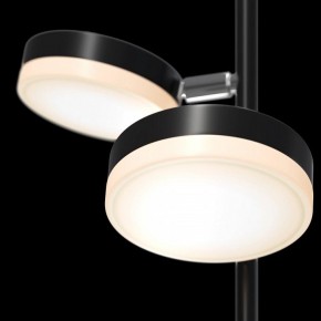 Торшер Maytoni Fad MOD070FL-L12B3K в Лесном - lesnoy.mebel24.online | фото