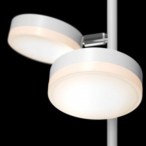 Торшер Maytoni Fad MOD070FL-L12W3K в Лесном - lesnoy.mebel24.online | фото 5