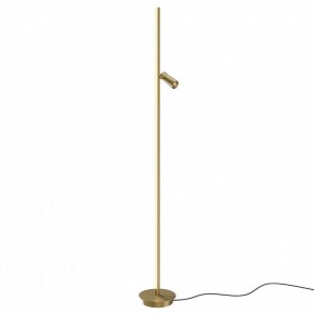 Торшер Maytoni Thin MOD395FL-L28BS3K в Лесном - lesnoy.mebel24.online | фото