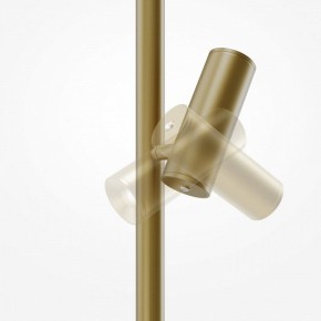 Торшер Maytoni Thin MOD395FL-L28BS3K в Лесном - lesnoy.mebel24.online | фото 6