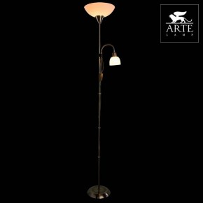 Торшер с подсветкой Arte Lamp Duetto A9569PN-2AB в Лесном - lesnoy.mebel24.online | фото 3