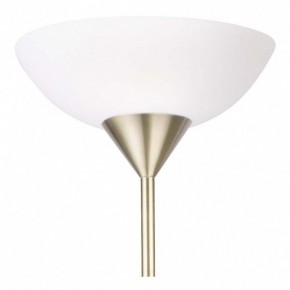Торшер с подсветкой Arte Lamp Duetto A9569PN-2AB в Лесном - lesnoy.mebel24.online | фото 5