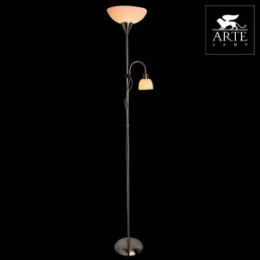 Торшер с подсветкой Arte Lamp Duetto A9569PN-2SS в Лесном - lesnoy.mebel24.online | фото 3