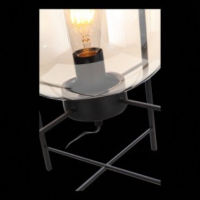Торшер ST-Luce Burasca SL1050.505.01 в Лесном - lesnoy.mebel24.online | фото 9