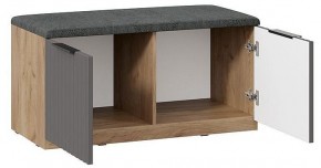 Тумба для обуви Хилтон Исп 2.2 в Лесном - lesnoy.mebel24.online | фото 2