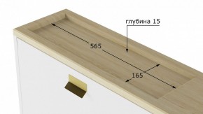 Тумба для обуви Норд L в Лесном - lesnoy.mebel24.online | фото 10