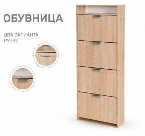 Тумба для обуви Ройс 4 в Лесном - lesnoy.mebel24.online | фото 8