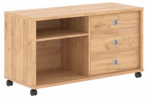 Тумба комбинированная Born B 202A в Лесном - lesnoy.mebel24.online | фото