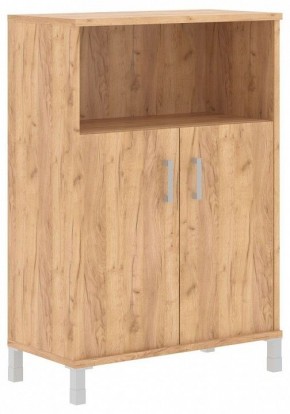 Тумба комбинированная Born B 420.2 в Лесном - lesnoy.mebel24.online | фото