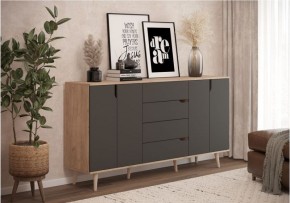 Тумба многофункциональная (арт. 6-56002) в Лесном - lesnoy.mebel24.online | фото 1