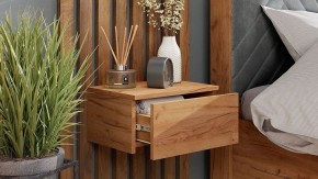 Тумба навесная Тип 1 в Лесном - lesnoy.mebel24.online | фото 6