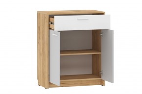 Тумба НМ 013.76 "Нортон" (Крафт Золотой) в Лесном - lesnoy.mebel24.online | фото 2