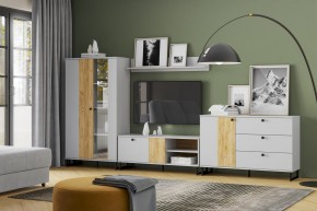 Тумба НМ 014.34 "Бруно" в Лесном - lesnoy.mebel24.online | фото 3