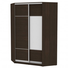 Угловой шкаф-купе YA-230х1400-718-1 (D4D3) в Лесном - lesnoy.mebel24.online | фото