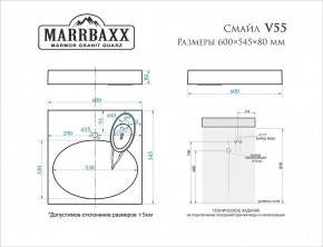 Умывальник над стиральной машиной (600*545*80) Смайл V55D1 (белый) с кронштейном без сифона (V55D1) в Лесном - lesnoy.mebel24.online | фото 2