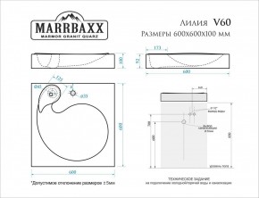 Умывальник над стиральной машиной (600*600х100) Лилия V60 (белый) с кронштейном без сифона (V60) в Лесном - lesnoy.mebel24.online | фото 2