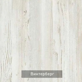 ВИНТЕР - 6.16.1 Шкаф-купе 1600 без зеркала в Лесном - lesnoy.mebel24.online | фото 5